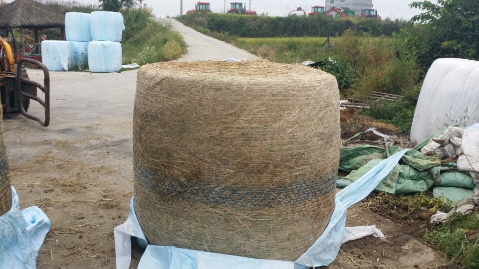 KakaoTalk_20150923_081800973.jpg