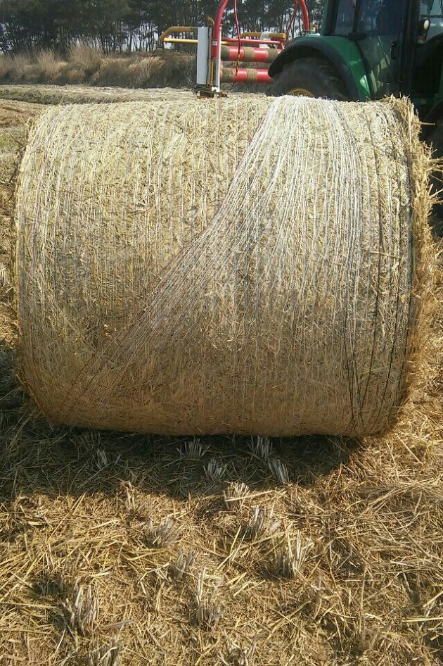 KakaoTalk_20160328_175816960.jpg